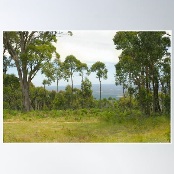 Vista Poster Wall Art, Modern Wall Decor, 8x12 UNFRAMED