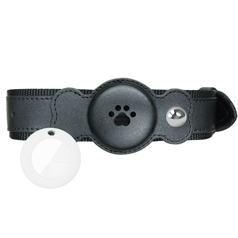 Gps dog collar no monthly fee best sale
