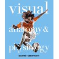 thumbnail image 1 of Pre-Owned Visual Anatomy & Physiology (Hardcover) 032178667X 9780321786678, 1 of 1