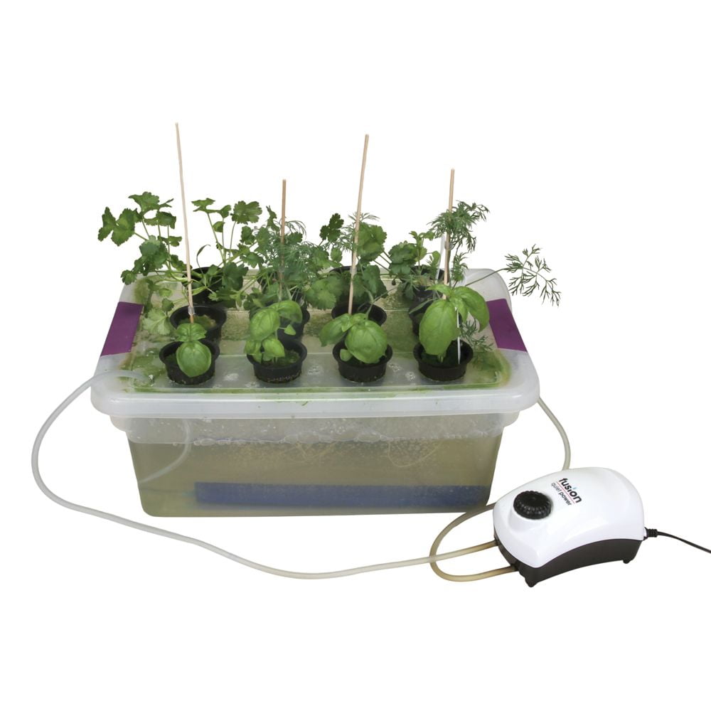Visual Desktop Hydroponics, Track Growth Of Plants And Their Roots
