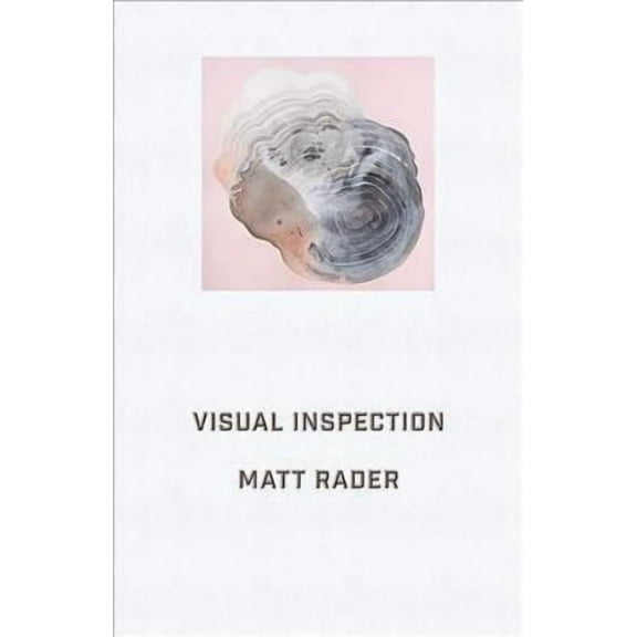 Visual Inspection (Paperback)