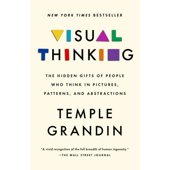 Pre-Owned Visual Thinking : The Hidden Gifts of People Who Think in Pictures, Patterns, and Abstractions (Paperback) 9780593418376