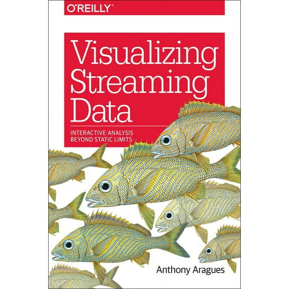 Visualizing Streaming Data: Interactive Analysis Beyond Static Limits (Paperback)