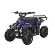 Vitacci Hawk 110cc Fully Automatic Mini ATV All-Terrain Vehicle