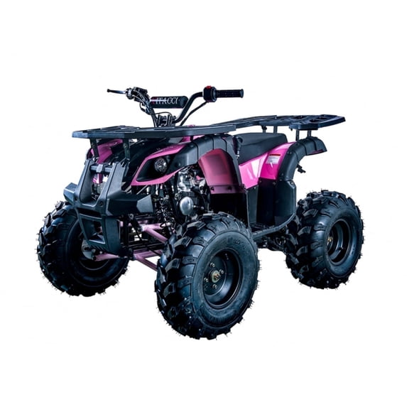 Vitacci Rider 10 125cc ATV Fully Automatic w/Reverse Mid Sized Off Road ...
