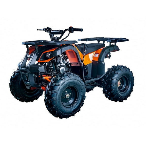 Vitacci Rider 10 125cc ATV Fully Automatic w/Reverse Mid Sized