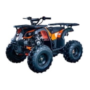 Vitacci Rider 10 125cc ATV Fully Automatic w/Reverse Mid Sized