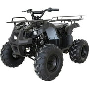 Vitacci Rider 10 125cc Utility ATV with Front and Rear Racks