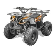 Cougar Rider Air Cooled 125cc ATV with Reverse Remote Kill Switch LED Lights