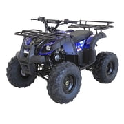 Vitacci Rider 9 125cc ATV Fully Automatic Mid Sized