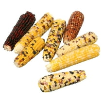 Vitakraft Mini Pops Treat for Small Animals - 100% Real Corn Cob - Supports Healthy Teeth - 1 lb
