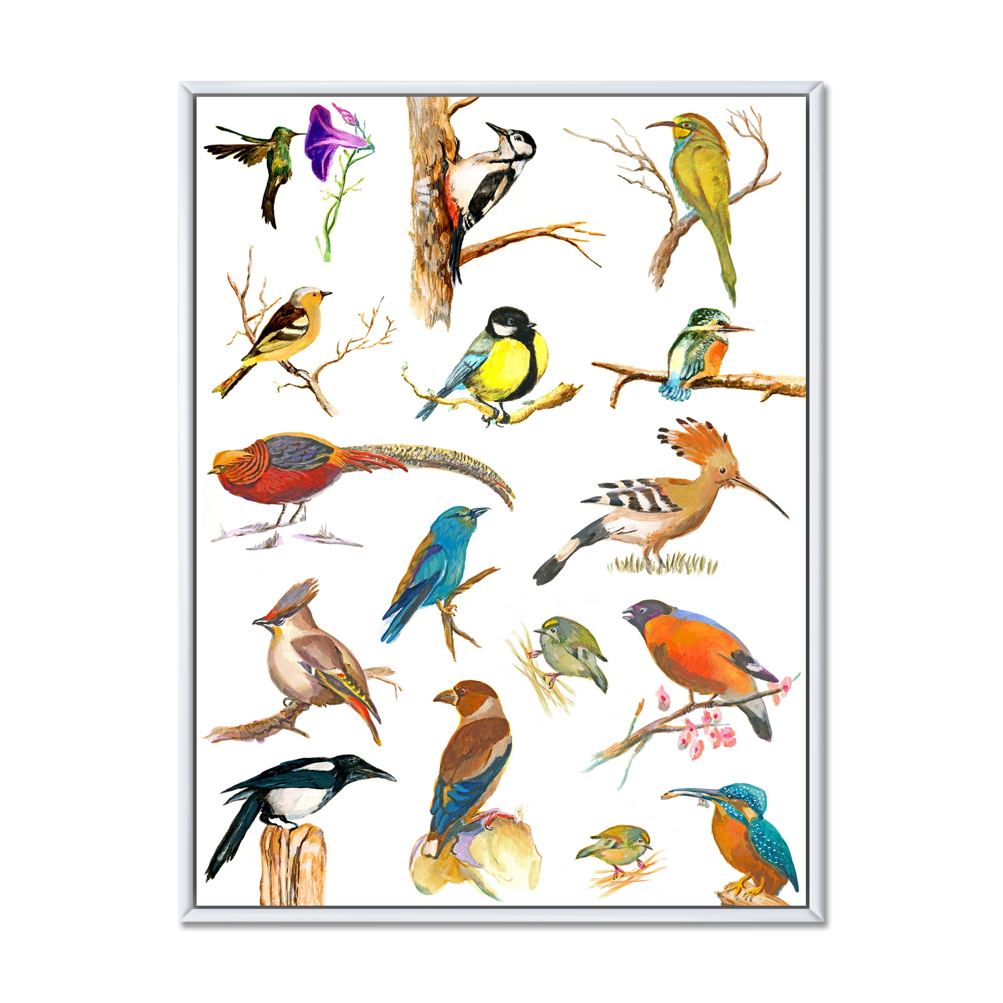 Vital Colored Birds Plancard 24 in x 32 in Framed Painting Canvas Art Print, by Designart