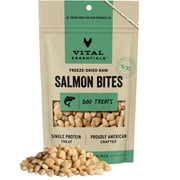 Vital Essentials Freeze-Dried Raw Single Protein Salmon Bites Training Dog Treats, 2.5-oz bag