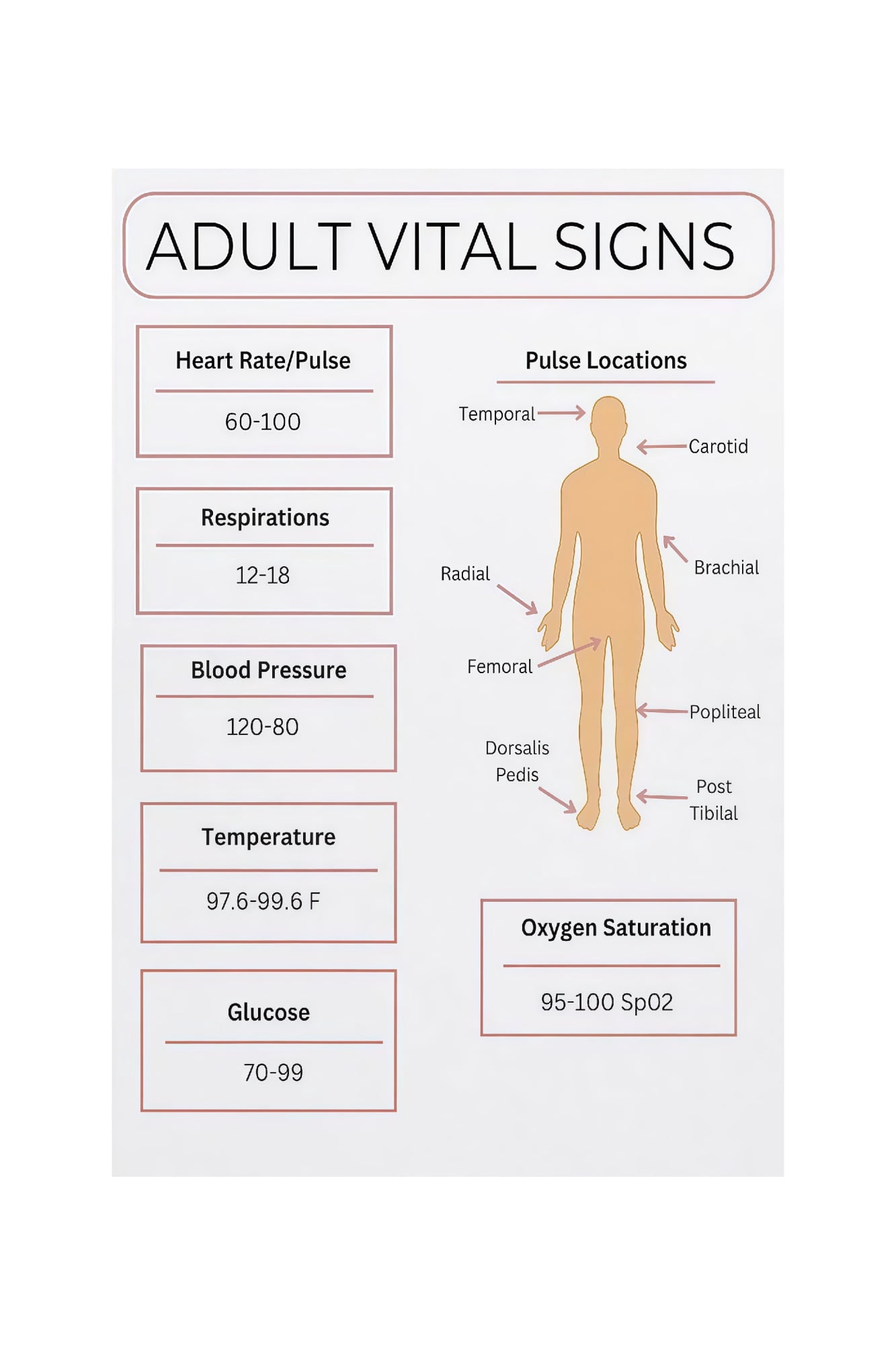 Observations Normal Ranges Adult Vital Signs Reference Chart Poster Adult Normal Ranges Nursing Student ...