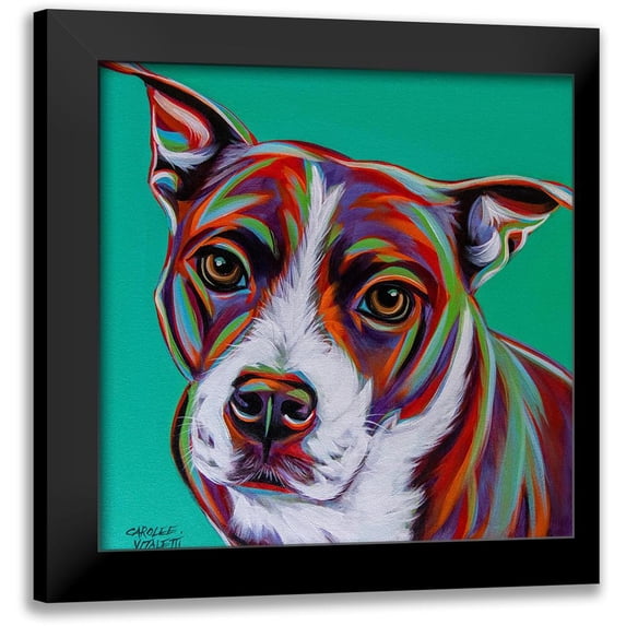Vitaletti, Carolee 20x20 Black Modern Framed Museum Art Print Titled - Kaleidoscope Dog I