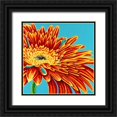 thumbnail image 1 of Vitaletti, Carolee 20x20 Black Ornate Wood Framed with Double Matting Museum Art Print Titled - Color Bursts I, 1 of 4