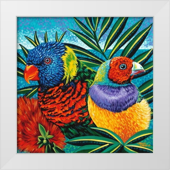 Vitaletti, Carolee 26x26 White Modern Wood Framed Museum Art Print Titled - Birds in Paradise II