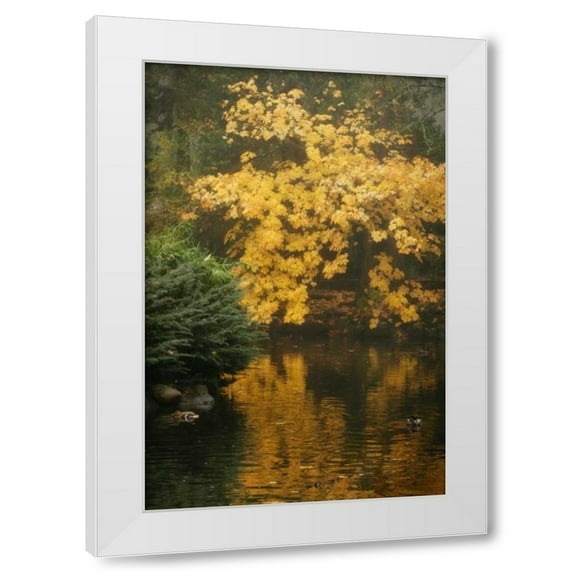 Vitaly Geyman 11x14 White Modern Wood Framed Wall Art Titled - Autumn Reflections I