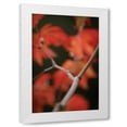 thumbnail image 1 of Vitaly Geyman 11x14 White Modern Wood Framed Wall Art Titled - Autumn Tree Dance II, 1 of 5
