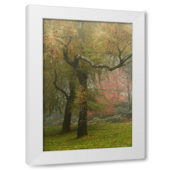 Vitaly Geyman 11x14 White Modern Wood Framed Wall Art Titled - Colors in the Mist VI