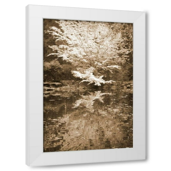 Vitaly Geyman 11x14 White Modern Wood Framed Wall Art Titled - Fall Bouquet I