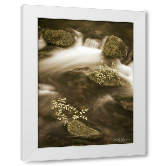 Vitaly Geyman 11x14 White Modern Wood Framed Wall Art Titled - Sepia Waters II