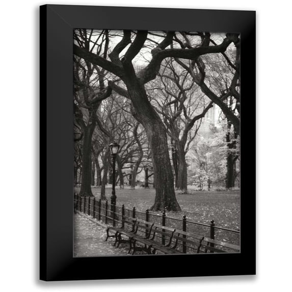 Vitaly, Geyman 13x18 Black Modern Framed Museum Art Print Titled - Central Park Dancers II