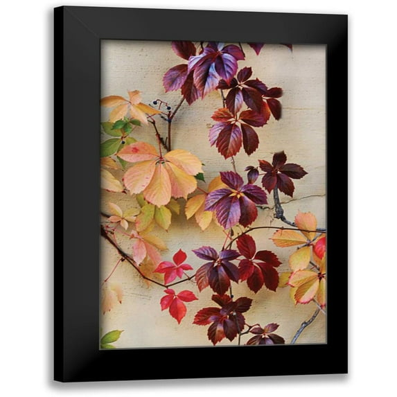 Vitaly, Geyman 13x18 Black Modern Framed Museum Art Print Titled - Vine Leaf Romance I