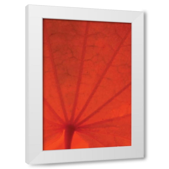 Vitaly Geyman 13x18 White Modern Wood Framed Wall Art Titled - Leaf Romance I