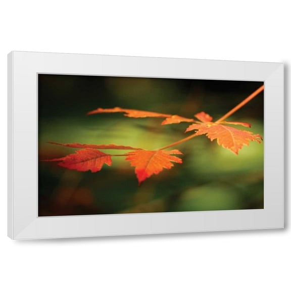 Vitaly Geyman 14x10 White Modern Wood Framed Wall Art Titled - Autumn Fire Leaves I
