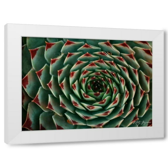 Vitaly Geyman 14x11 White Modern Wood Framed Wall Art Titled - Floral Labyrinth II Color