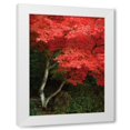 thumbnail image 1 of Vitaly Geyman 14x18 White Modern Wood Framed Wall Art Titled - Maple Beauty I, 1 of 5