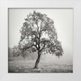 thumbnail image 1 of Vitaly, Geyman 15x15 White Modern Wood Framed Museum Art Print Titled - Burning Oak BW VII, 1 of 4