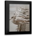 thumbnail image 1 of Vitaly, Geyman 17x24 Black Modern Framed Museum Art Print Titled - Seagul Paradise I, 1 of 5