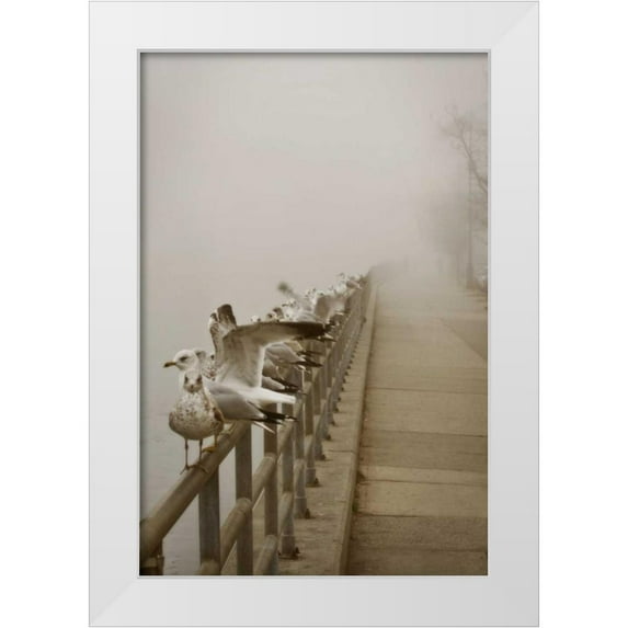 Vitaly, Geyman 17x24 White Modern Wood Framed Museum Art Print Titled - Seagul Paradise II