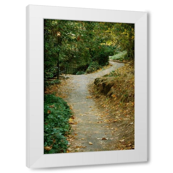 Vitaly Geyman 17x24 White Modern Wood Framed Wall Art Titled - Autumn Path II