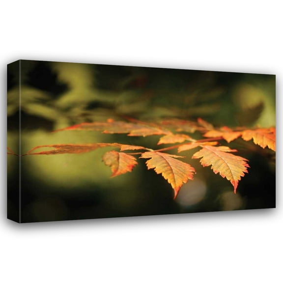 Vitaly Geyman 18x13 Gallery Wrapped Canvas Wall Art Titled - Autumn Fire Leaves II