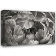 thumbnail image 1 of Vitaly Geyman 18x14 Gallery Wrapped Canvas Wall Art Titled - Floral Intimacy V, 1 of 4