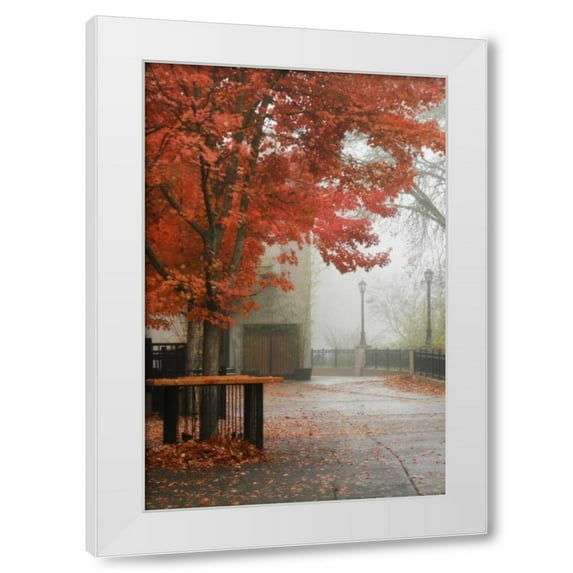 Vitaly Geyman 23x32 White Modern Wood Framed Wall Art Titled - Fall Plaza IV