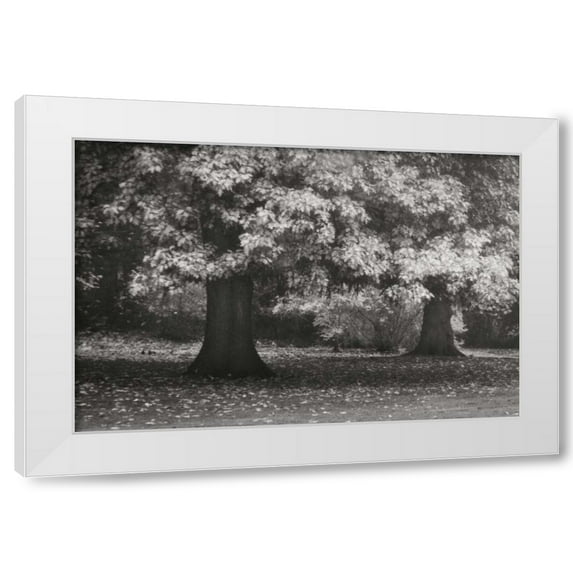 Vitaly Geyman 24x17 White Modern Wood Framed Wall Art Titled - Red Oak Duo I BandW