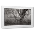 thumbnail image 1 of Vitaly Geyman 24x17 White Modern Wood Framed Wall Art Titled - Winters Palace V BandW, 1 of 5