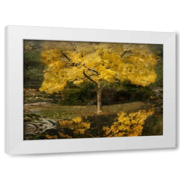 Vitaly Geyman 32x24 White Modern Wood Framed Wall Art Titled - Autumn Reflections III