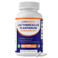 thumbnail image 1 of Vitamatic Lactobacillus Plantarum - 20 Billion per DR Capsule - 60 Count - Digestive Support - Made with Prebiotic Inulin Fiber, 1 of 10
