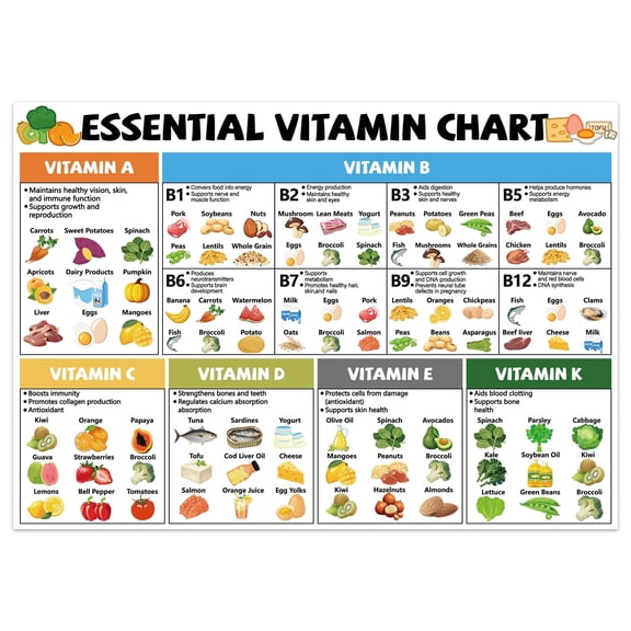 Vitamin Chart Refrigerator Magnets