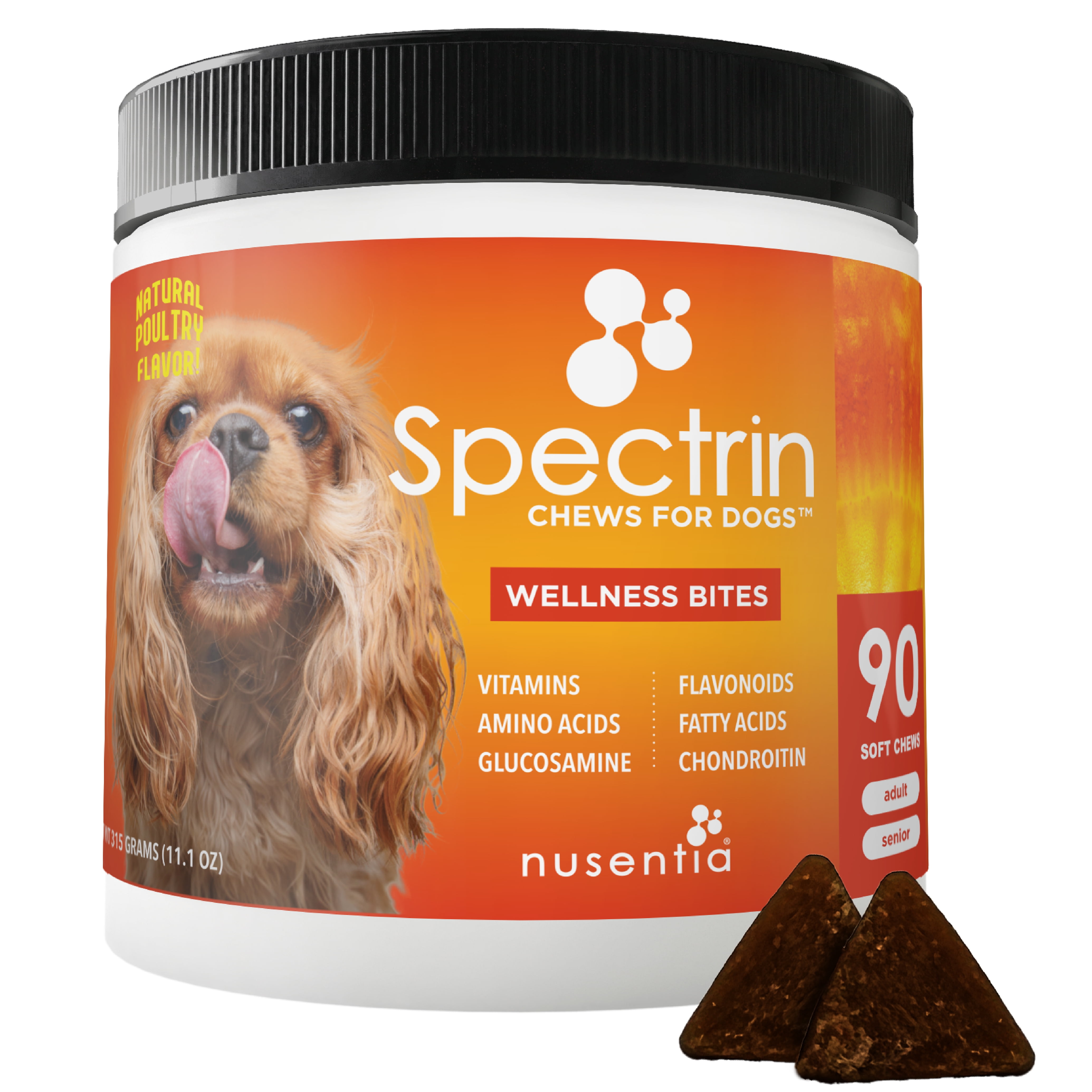 Vitamin Treats with Glucosamine for Dogs : Spectrin Soft Chews (90 CT) :  Hip & Joint Support + Antioxidants