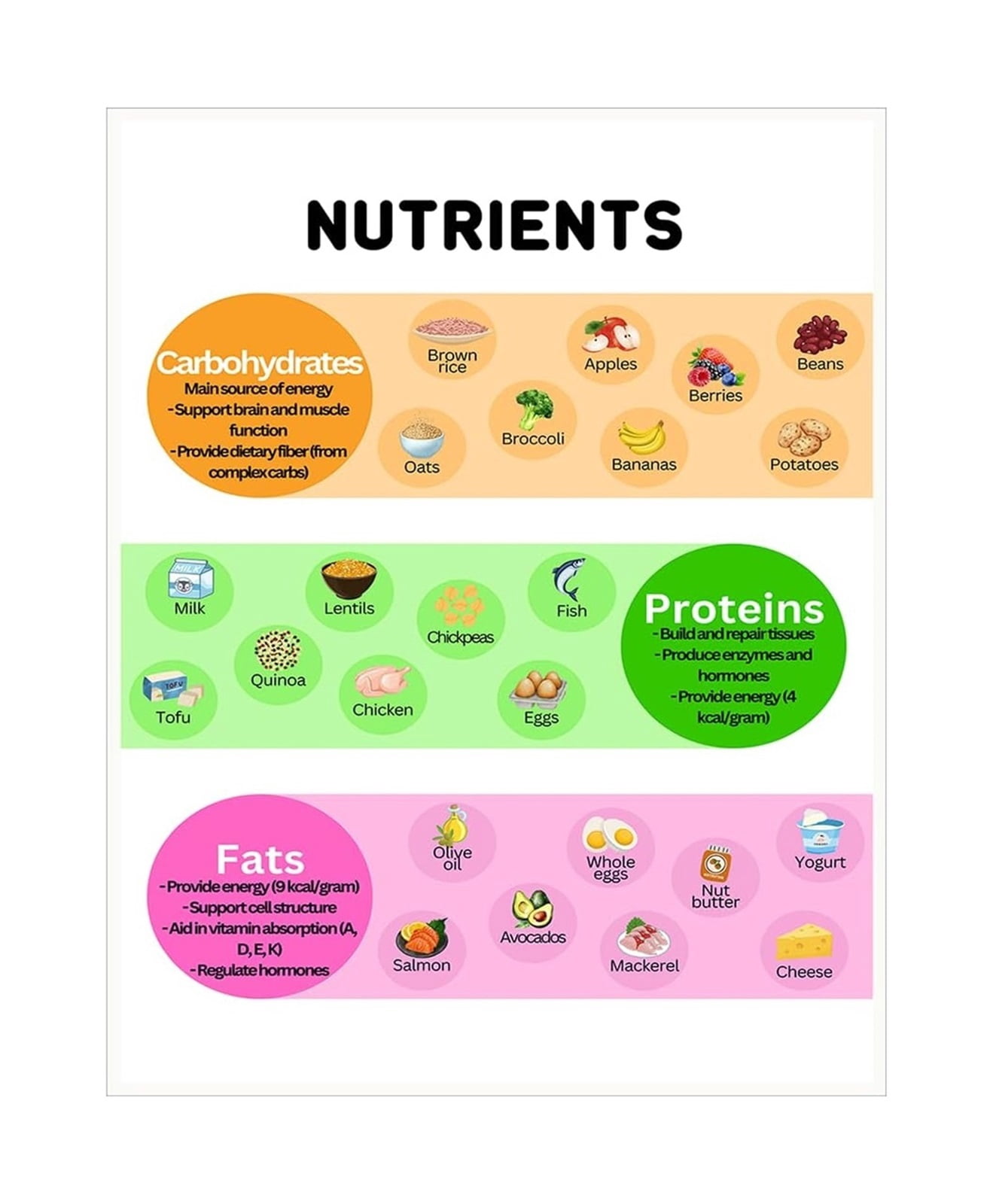 Vitamins Minerals Educational Poster Nutrition Guide Chart with Food ...