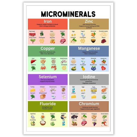 Vitamins And Minerals Poster Healthy Eating Nutrient Guide Wall Art Essential Micronutrients Canvas Perfect For Home Food Education Kitchen Or School Wall Decoration