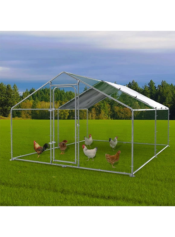 Large Chicken Coops in Chicken Coops