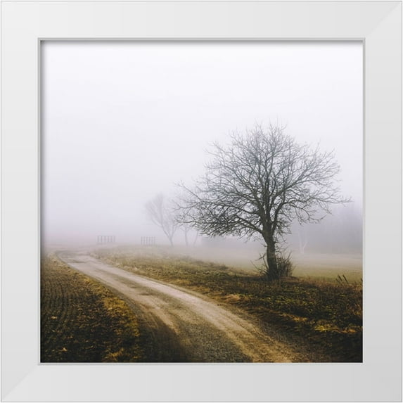Vitomirov, Igor 20x20 White Modern Wood Framed Museum Art Print Titled - Lonely Tree In The Mist