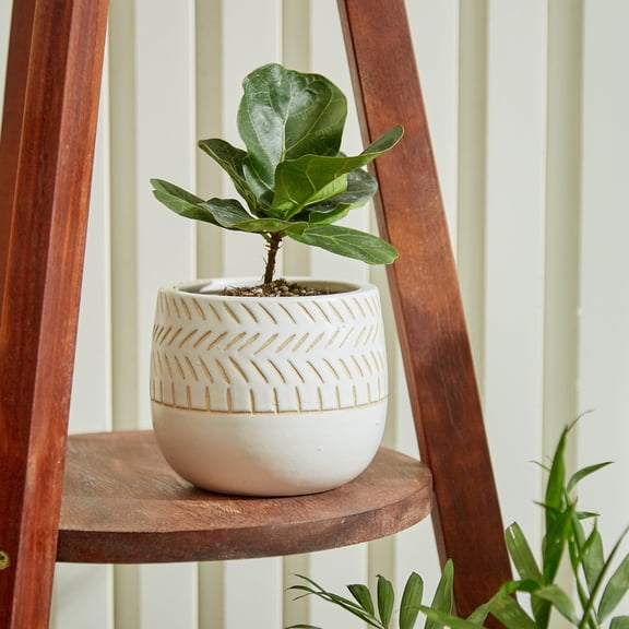 Vitruvian Indoor Ceramic Pot - Small Ceramic Planter, Handmade Ceramic Pot, Balcony Planter, Modern Ceramic Pot, Cactus Plant Pot,